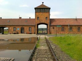 International Holocaust Remembrance Day