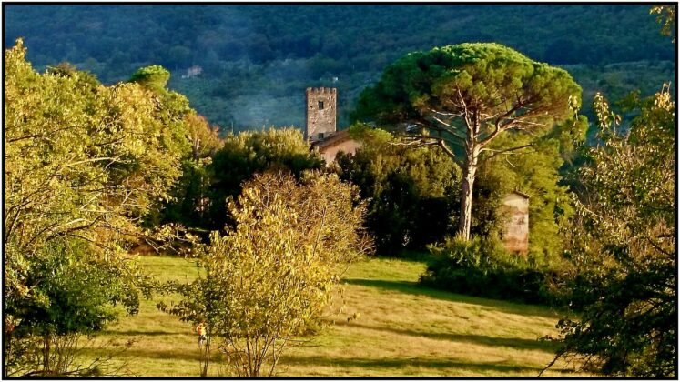 Villa magna, anagni