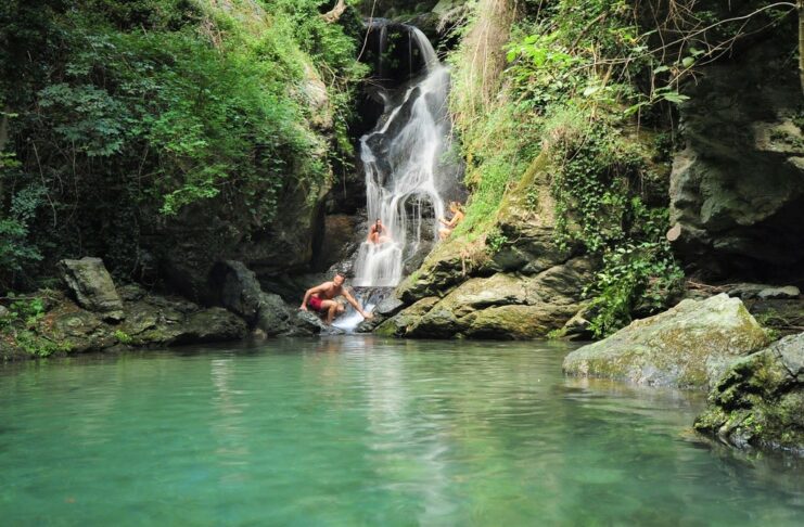 Blue Dragonfly Waterfall in Rialto