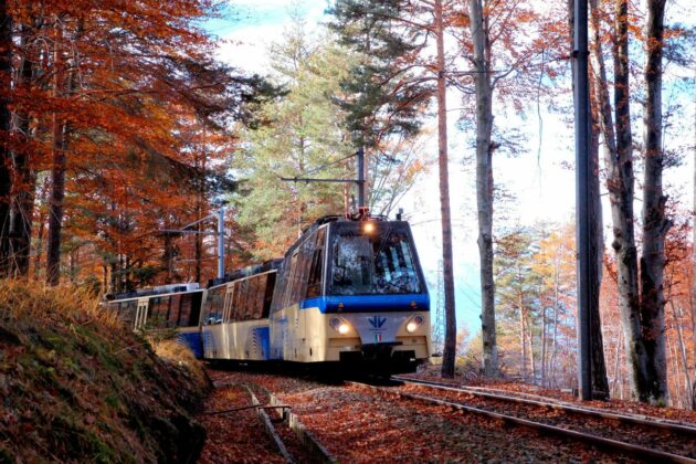 foliage train italy