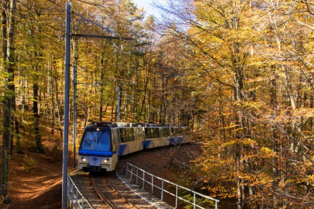 foliage train route